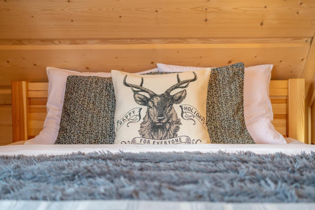 Apartamenty Willa Olsza Wood House & Mountain View & Sauna Zakopane Exterior photo